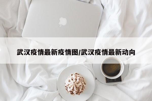武汉疫情最新疫情图/武汉疫情最新动向